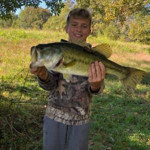 Meet your Posher, Cecil